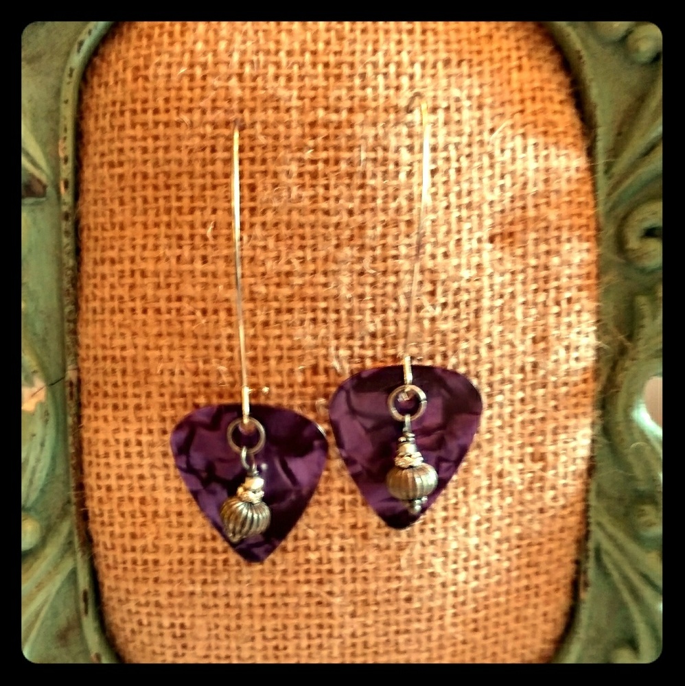 Guitar pick earnings